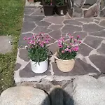Drevenica Zapadne Tatry S Kupacou Kadou A Krbom *
