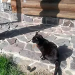 Lejlighed Drevenica Zapadne Tatry S Kupacou Kadou A Krbom Žiar