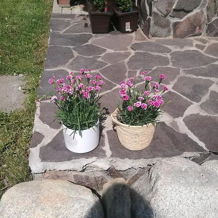 Drevenica Zapadne Tatry S Kupacou Kadou A Krbom *