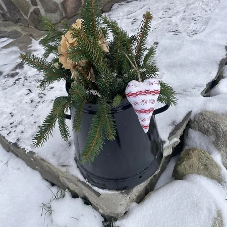 Drevenica Západné Tatry S Kúpacou Kaďou A Krbom * Žiar