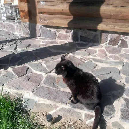アパート Drevenica Zapadne Tatry S Kupacou Kadou A Krbom Žiar