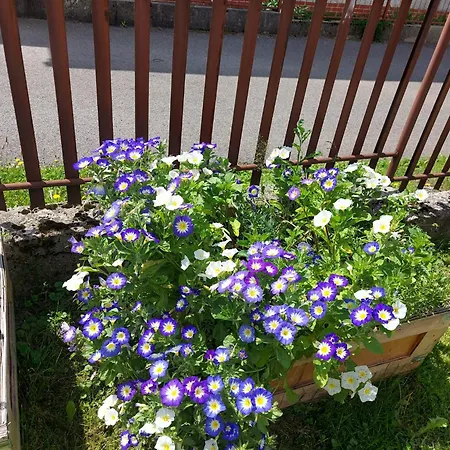 Drevenica Zapadne Tatry S Kupacou Kadou A Krbom *