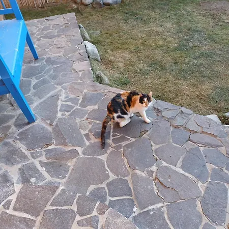 Apartment Drevenica Zapadne Tatry S Kupacou Kadou A Krbom *