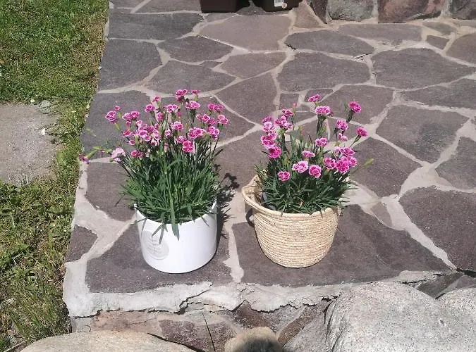 Drevenica Zapadne Tatry S Kupacou Kadou A Krbom *